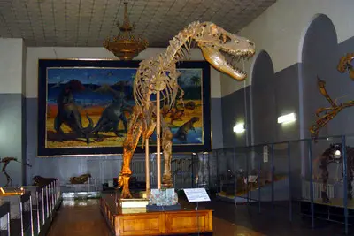 National Museum of Mongolia