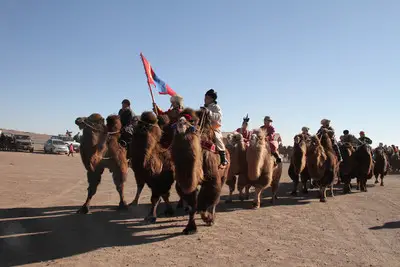 Mongolia’s Bactrian Camel- Gobi’s Threasure