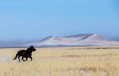 Sukhbaatar province Mongolia